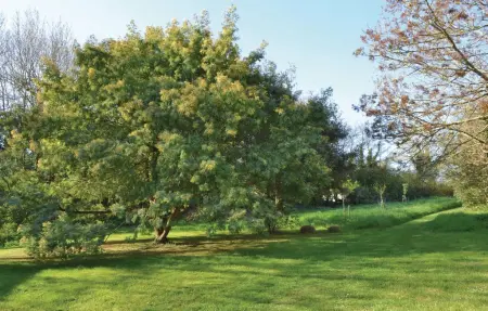 Ferme rénovée 130m² à 500m de la plage de Kerliguet : photo 12