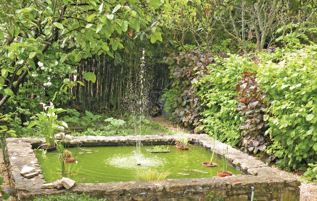 Maison de village avec jardin et étang à St Didier - Photo 4