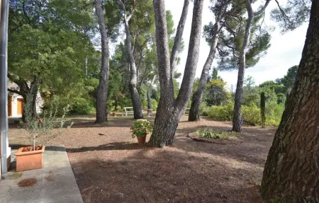 Maison de caractère 9 pers. avec terrain Provence : photo 5