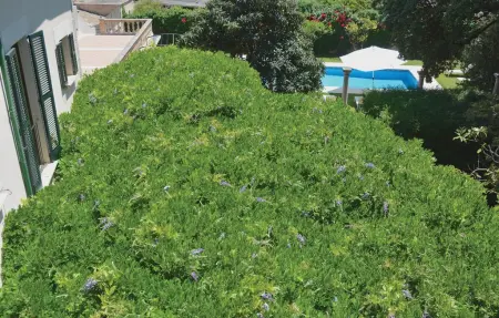Maison 14 personnes à Sóller - Photo 18