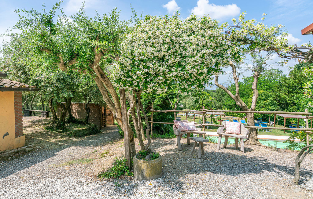 Alloro 3 – Appartement 4 pers. avec piscine en Toscane - Photo 6