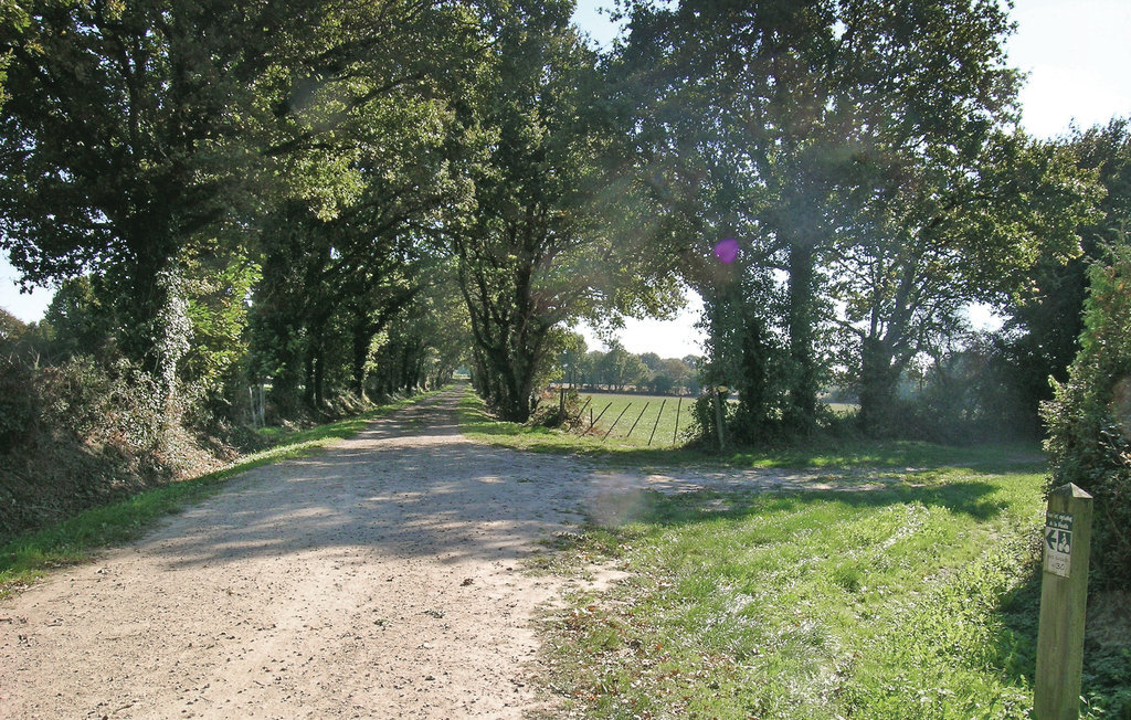 Maison 3 pers. avec terrasse et jardin en Vendée - Photo 12