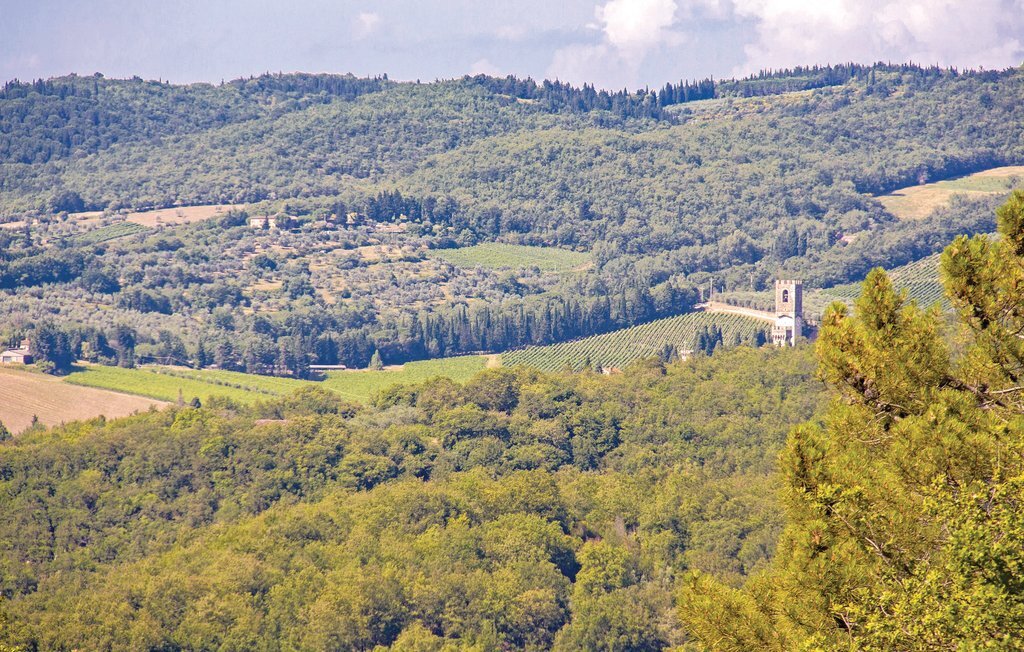 Sangiovese 1 – Appartement en ferme toscane avec piscine - Photo 17