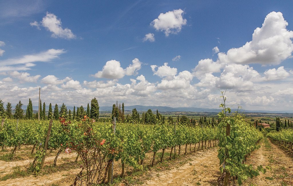 Sangiovese 3 - Appartement en ferme du Chianti - Photo 25