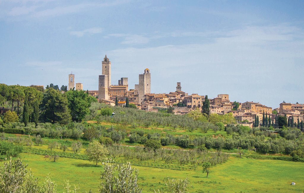 Appartement Sangiovese 6 dans ferme du Chianti - Photo 4