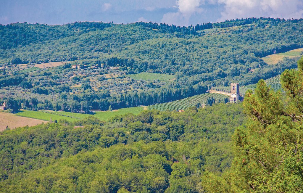 Appartement Sangiovese 6 dans ferme du Chianti - Photo 21