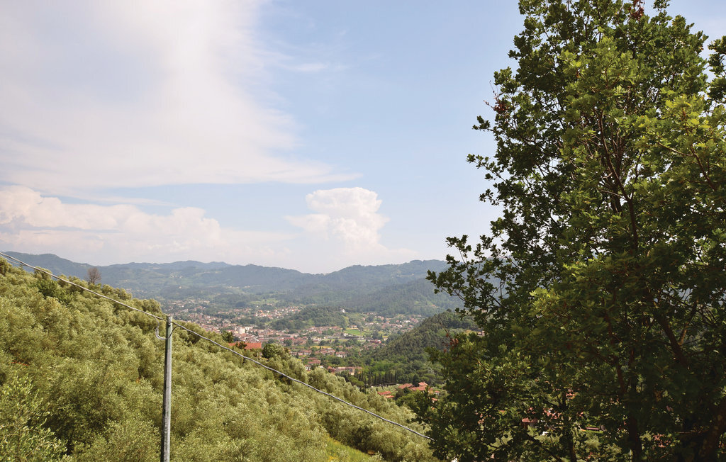 La Stallina – Maison 7 pers. dans les collines de Camaiore - Photo 24