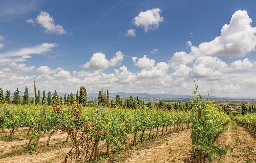 Sangiovese 2 – Appartement au cœur du Chianti - Photo 6