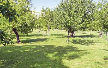 Maison 7 personnes à Bourgougnague - Photo 6