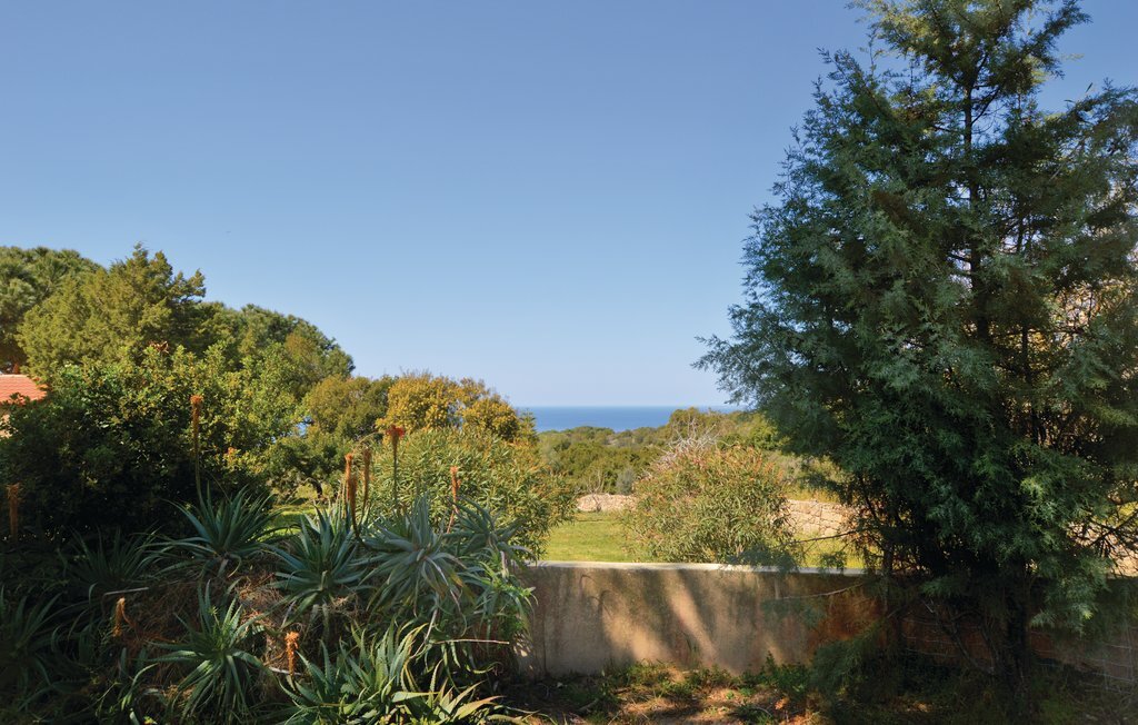 Maison corse 3 km de la mer, piscine privée - Photo 2