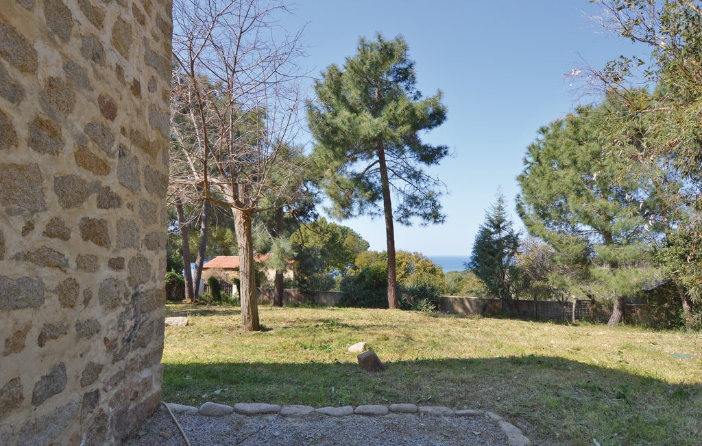 Maison corse 3 km de la mer, piscine privée - Photo 15