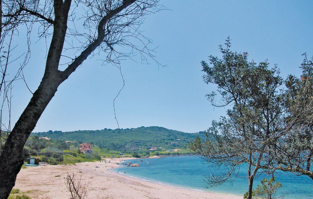 Maison corse 3 km de la mer, piscine privée - Photo 19