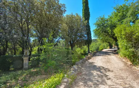Mas provençal 9 chambres, 25 ha et piscine privée : photo 18