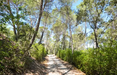 Mas provençal 9 chambres, 25 ha et piscine privée : photo 19