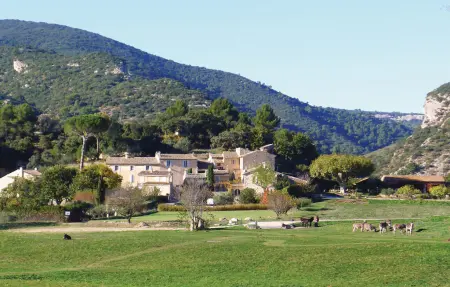 Mas provençal 9 chambres, 25 ha et piscine privée : photo 54