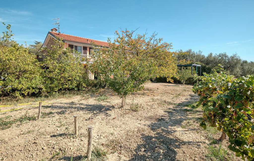Casa Fiorita : appartement Riviera dei Fiori, 3 km des plages - Photo 23