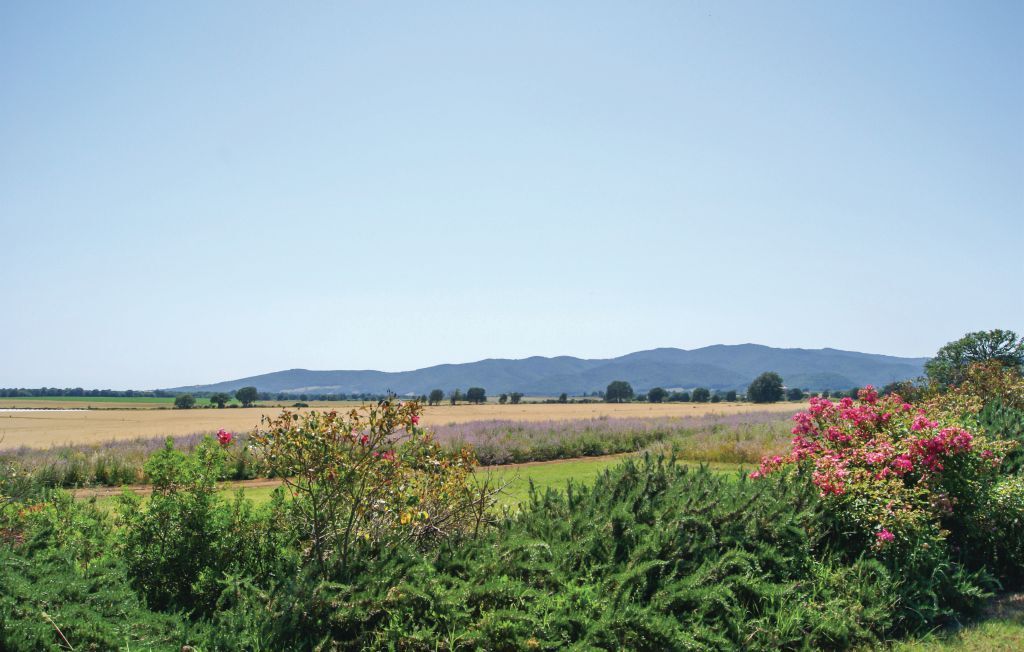 Casa di Pietra – Maison 6 pers. avec piscine en Maremma - Photo 27