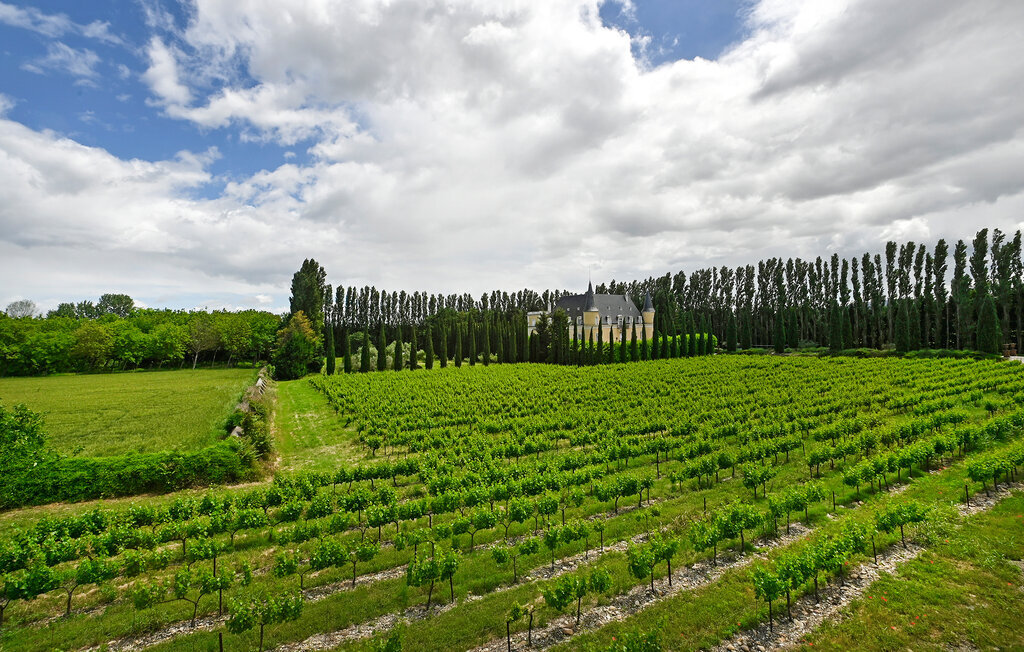Château XVIIIe avec piscine et parc à Pont-Saint-Esprit - Photo 20
