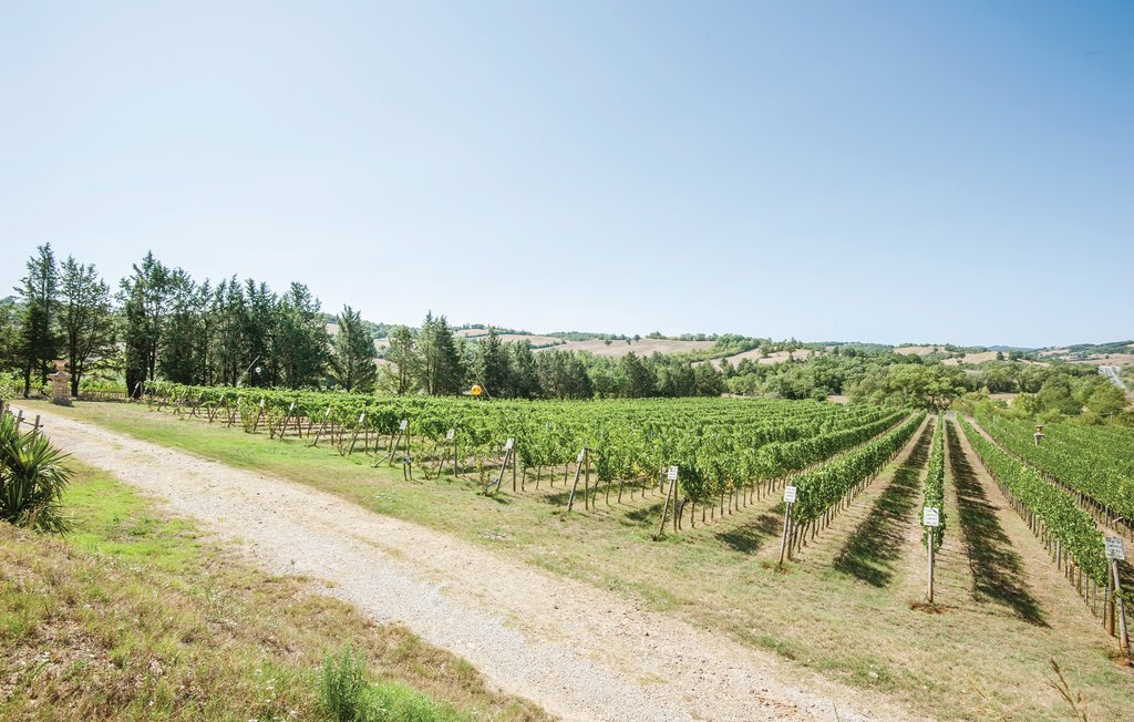 Poggio L'Apparita – Maison vignoble en Maremme - Photo 30