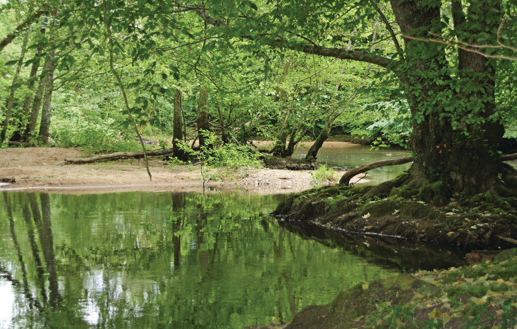 Domaine de Sainte Marie : maison 14 pers. avec piscine - Photo 12