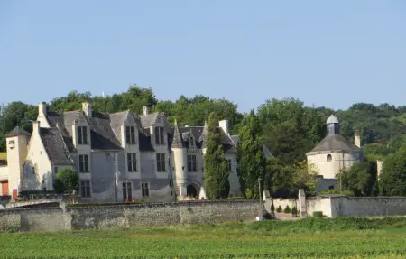 Maison du 12ème siècle avec vue sur vignes et château : photo 9