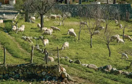 Maison 6 personnes à Alaró - Photo 35