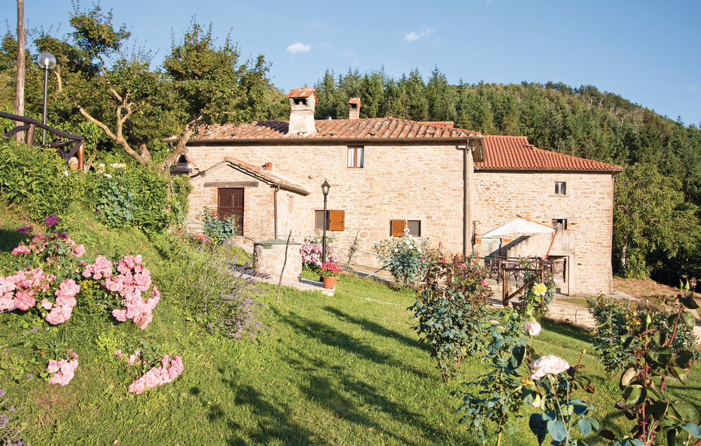 Ancienne ferme avec piscine privée près de Cortona - Photo 4