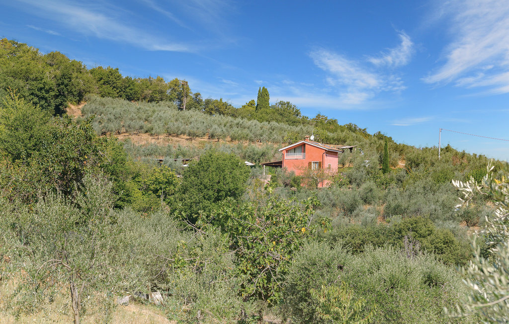 Poggiolivo – Maison avec piscine aux portes de Montevarchi - Photo 15