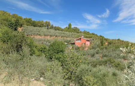 Poggiolivo, Maison 5 personnes à Montevarchi AR - Photo 14