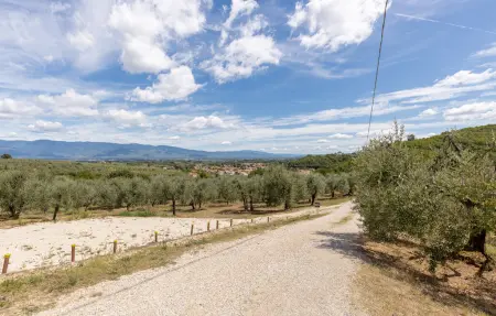 Poggiolivo, Maison 5 personnes à Montevarchi AR - Photo 31