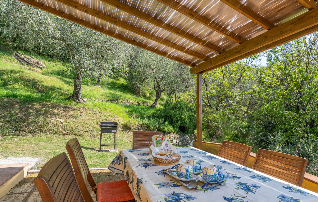 Maison Montecatino aux oliviers avec jacuzzi - Photo 14