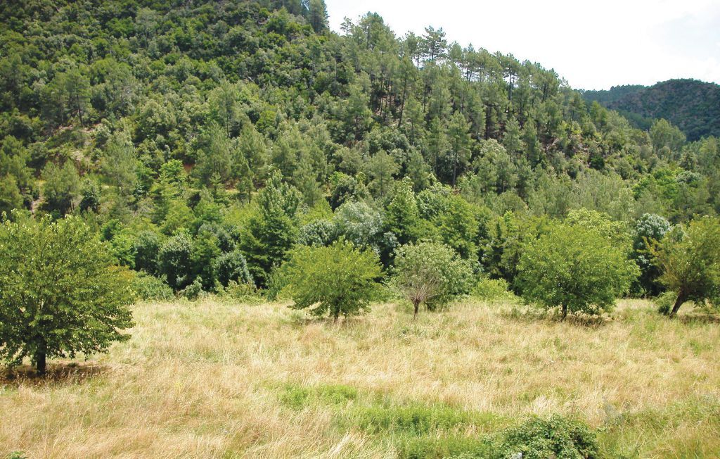 Maison en pierre aux Cévennes, à 400 m de la rivière - Photo 13