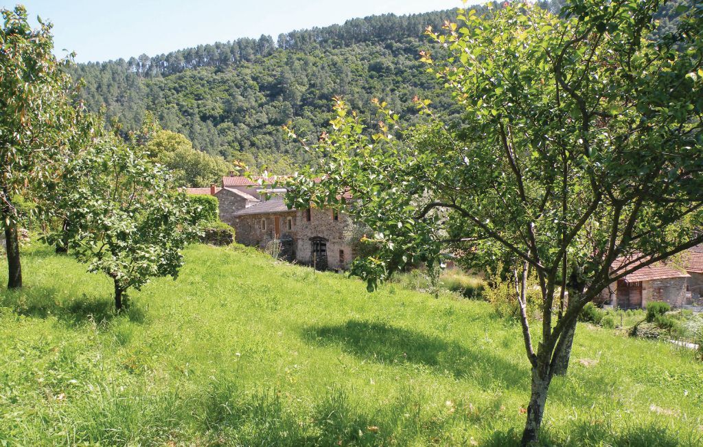 Maison en pierre aux Cévennes, à 400 m de la rivière - Photo 28