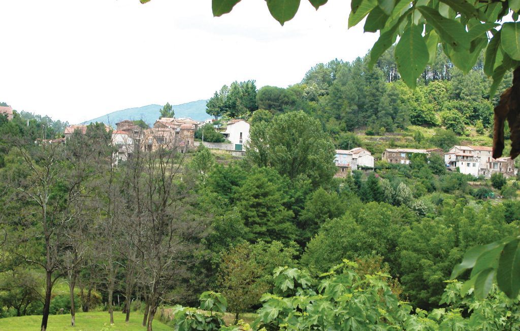 Maison en pierre aux Cévennes, à 400 m de la rivière - Photo 29