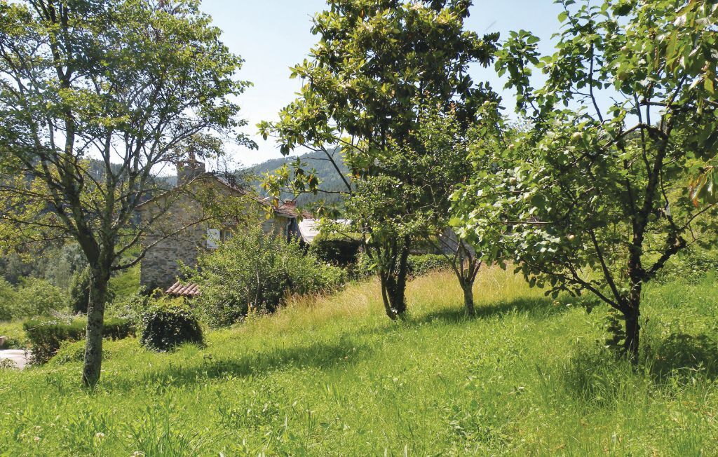 Maison en pierre aux Cévennes, à 400 m de la rivière - Photo 30