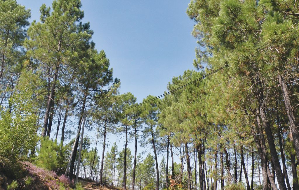 Maison en pierre aux Cévennes, à 400 m de la rivière - Photo 32