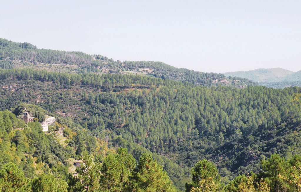 Maison en pierre aux Cévennes, à 400 m de la rivière - Photo 33