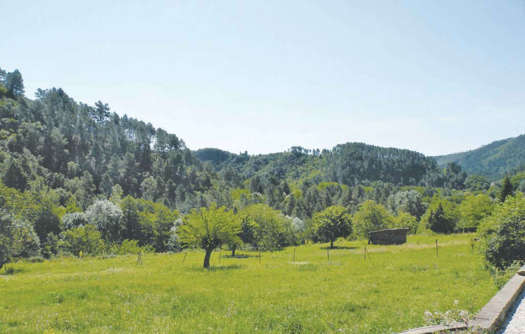 Maison en pierre aux Cévennes, à 400 m de la rivière - Photo 34