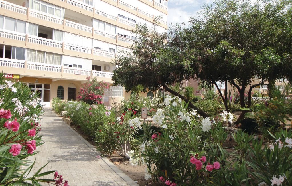 Appartement 3 personnes à Torrevieja - Photo 7