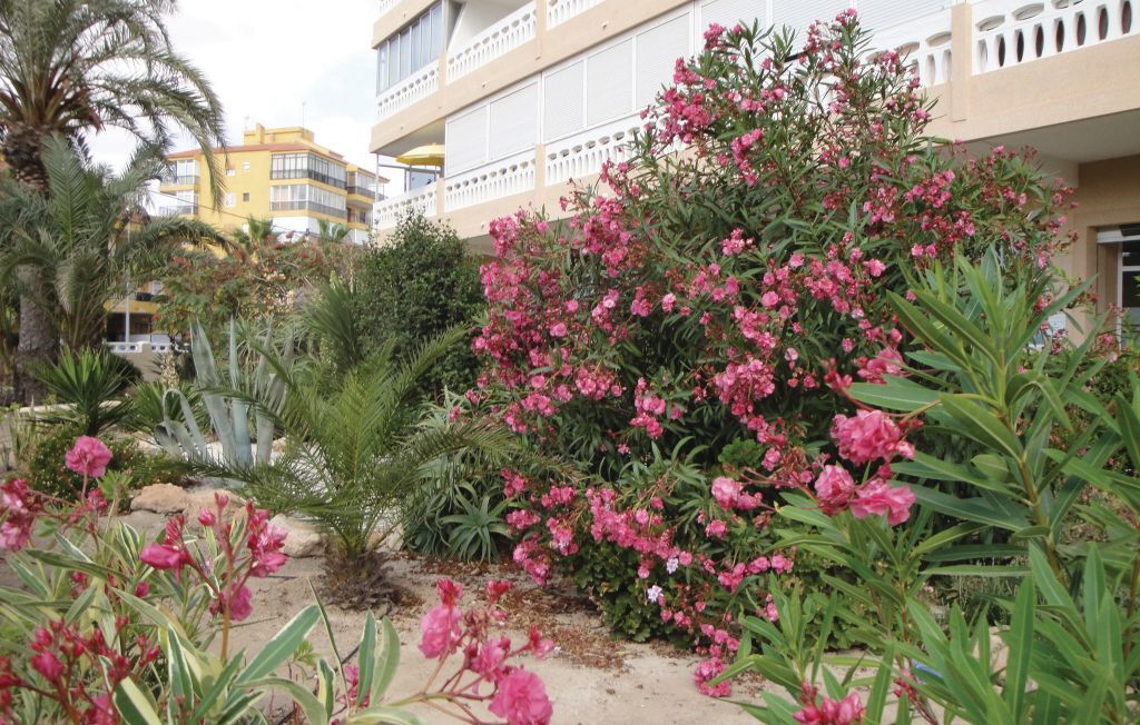 Appartement 3 personnes à Torrevieja - Photo 10