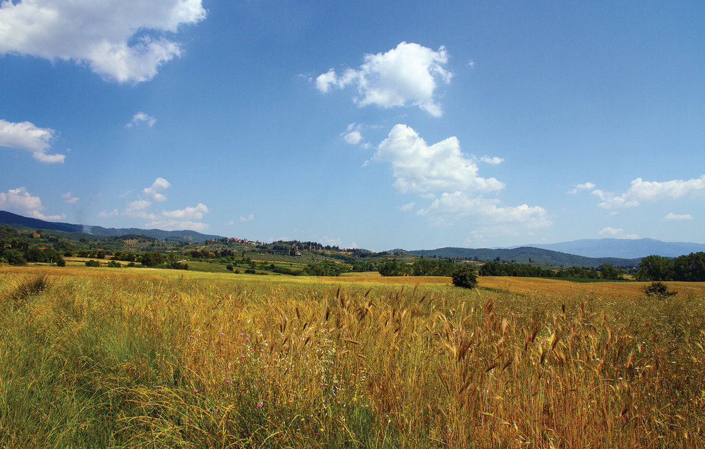 Villa Caterina – Maison avec piscine privée en Toscane - Photo 38