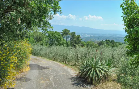 Casa le Ginestre, Maison 9 personnes à Montevarchi AR - Photo 45