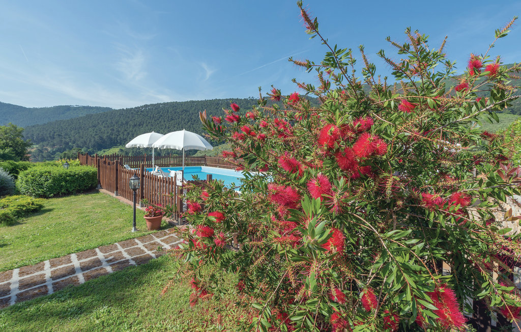 Appartement Salvia à Buti, pierre toscane avec piscine - Photo 6