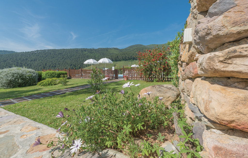 Rosmarino - Appartement 6 pers. Monte Pisano - Photo 5