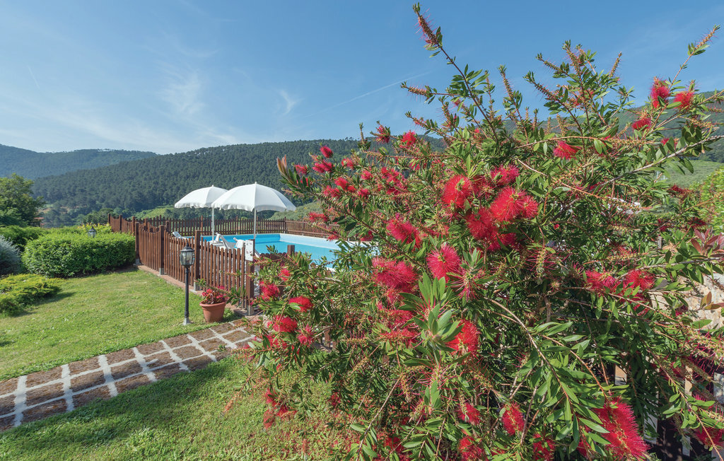 Rosmarino - Appartement 6 pers. Monte Pisano - Photo 8