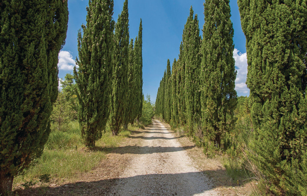 Poggialino, maison géothermale en Toscane - Photo 18