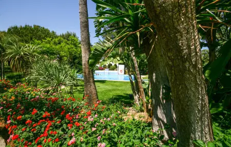 Appartement lumineux avec piscine partagée à Mijas Costa : photo 8