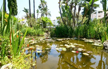 Appartement lumineux avec piscine partagée à Mijas Costa : photo 11