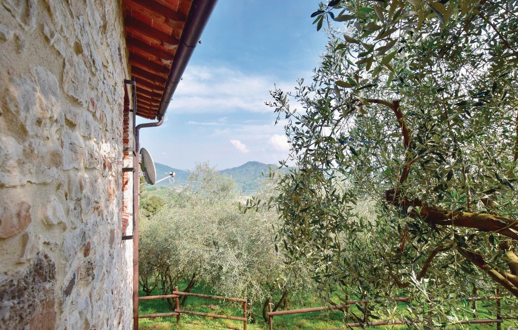 Parsilia, maison toscane en pierre à Camaiore - Photo 5