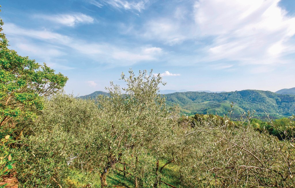 Parsilia, maison toscane en pierre à Camaiore - Photo 13